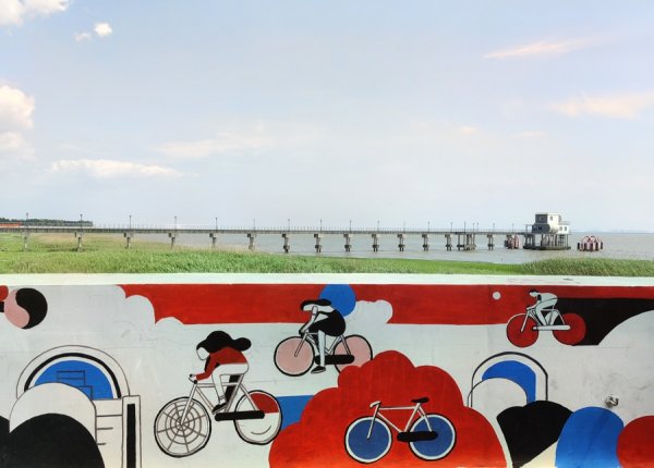 目前市场上好的配资公司 崇明堡镇江堤有约：白天看花神出画，夜晚见铁花星雨