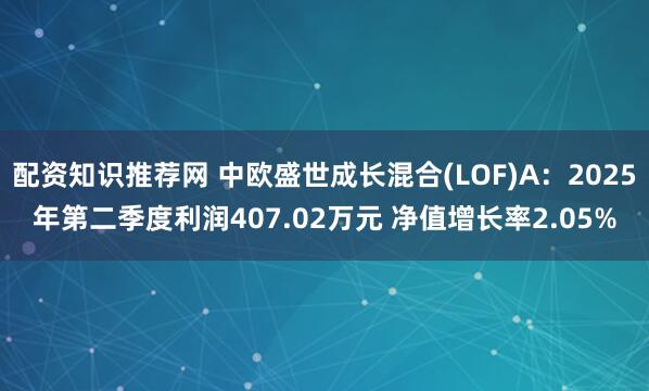配资知识推荐网 中欧盛世成长混合(LOF)A：2025年第二季度利润407.02万元 净值增长率2.05%